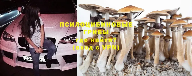 Галлюциногенные грибы MAGIC MUSHROOMS  что такое   Куртамыш 